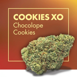 Flores CBD COOKIES XO (Chocolope Cookies)