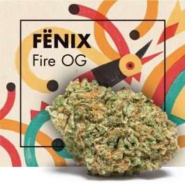 Flores CBD FËNIX (Fire OG)