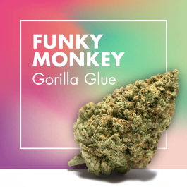 Flores CBD FUNKY MONKEY (Gorilla Glue)