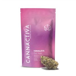 Flores CBD HIMALAYA (Pink Haze)