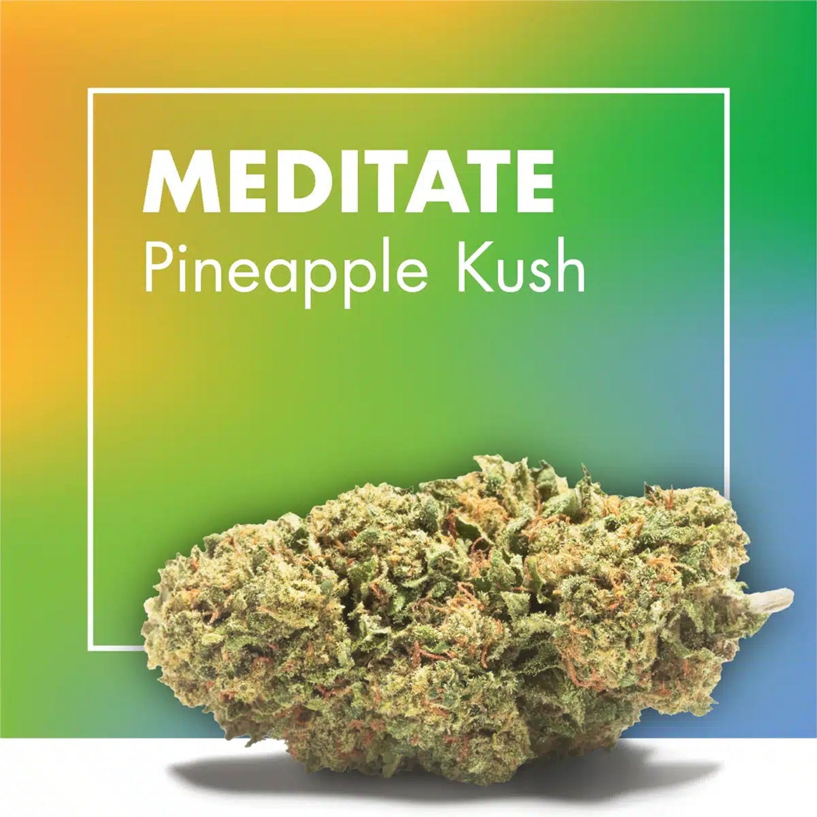 Maxi Pack – 9 Flores CBD (6 + 3 grátis) - Image 9