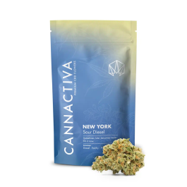 Flores CBD NEW YORK (Sour Diesel CBD)