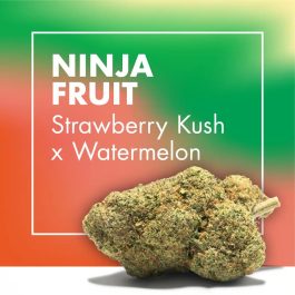 Flores CBD NINJA FRUIT (Strawberry Kush x Watermelon)