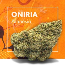 Flores CBD ONIRIA (Amnesia CBD)