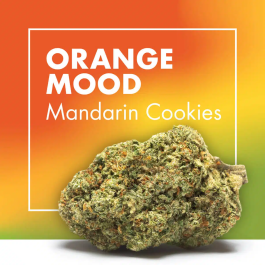 Flores CBD ORANGE MOOD (Mandarin Cookies)