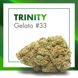Flores CBD TRINITY (Gelato #33) | CBD INDOOR