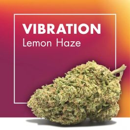 Flores CBD VIBRATION (Lemon Haze)
