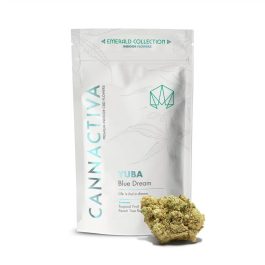 Flores CBD YUBA (Blue Dream)
