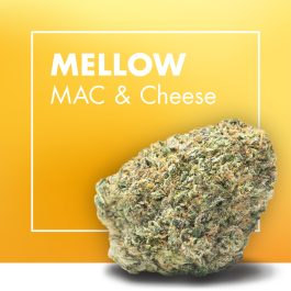 Flores CBD MELLOW (MAC & Cheese)