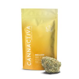 Flores CBD MELLOW (MAC & Cheese)