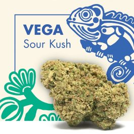 Flores CBD VEGA (Sour Kush)