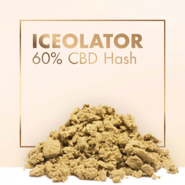 Iceolator Hash 60% CBD